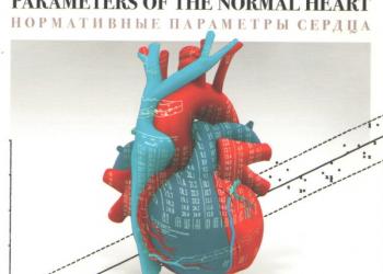 Нормативные параметры сердца